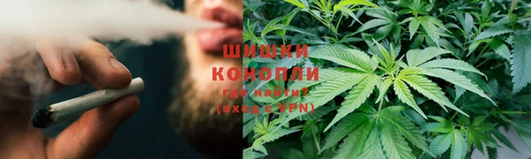 прущие грибы Армянск