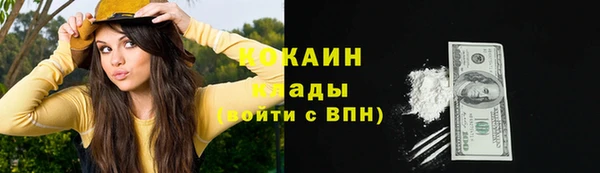 прущие грибы Армянск