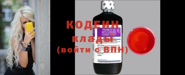 не бодяженный Арсеньев
