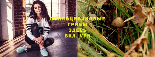прущие крисы Аркадак