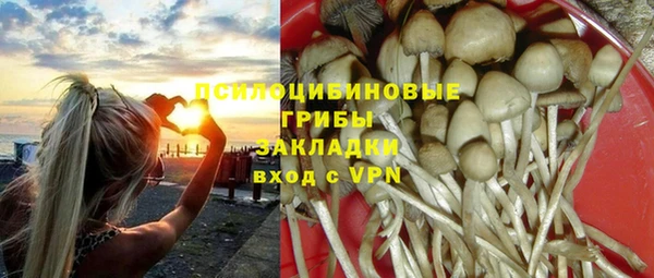 прущие грибы Армянск