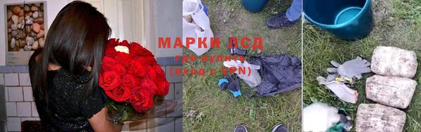 не бодяженный Арсеньев