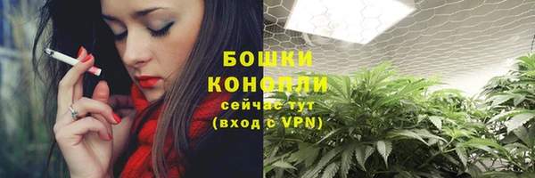 прущие крисы Аркадак