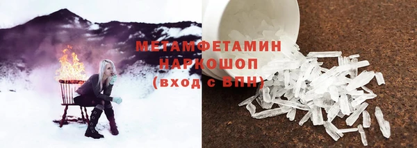 прущие грибы Армянск